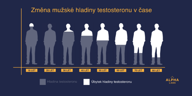 Vývoj hladiny testosteronu v závislosti na věku muže